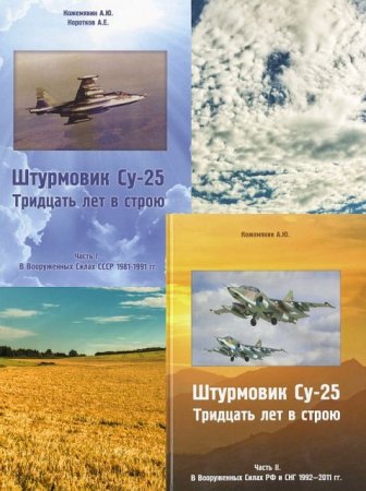 Штурмовик Су-25. 30 лет в строю. 2 книги (2012-2014) PDF