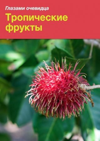 Екатерина Пугачева, Сергей Серебряков - Тропические фрукты (2016) RTF,FB2,EPUB,MOBI