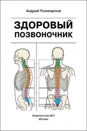 Здоровый позвоночник