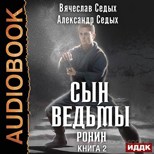 Седых Александр, Седых Вячеслав. Сын ведьмы. Ронин (2021) Аудиокнига