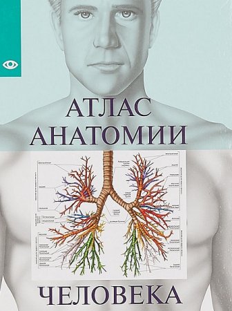 Атлас анатомии человека. Сборник книг