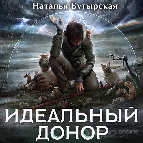 Бутырская Наталья. Идеальный донор. Герой (2022) Аудиокнига