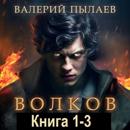 Валерий Пылаев - Волков. Книга 1-3 (2024) МР3